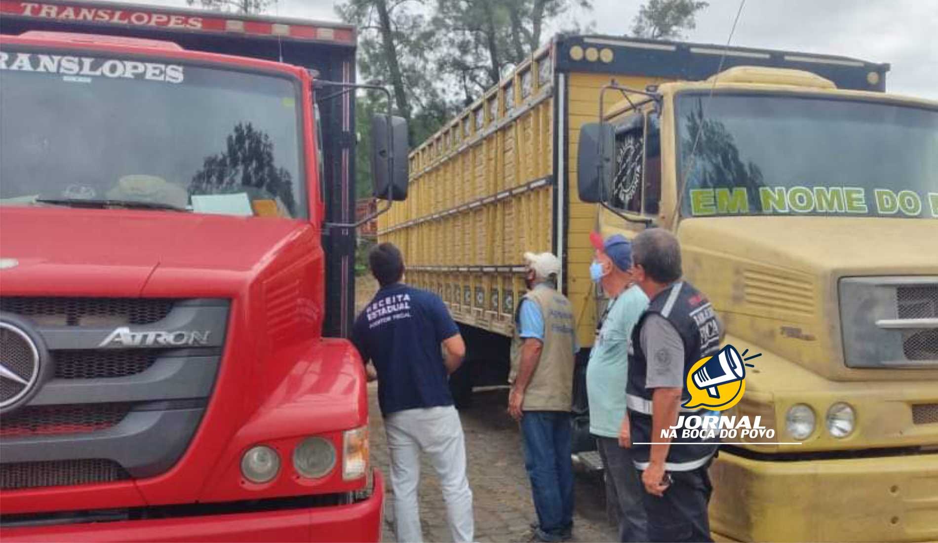 Sec. de Estado de Agricultura estabelece a obrigatoriedade do cadastramento de veículos de transporte de cargas vivas