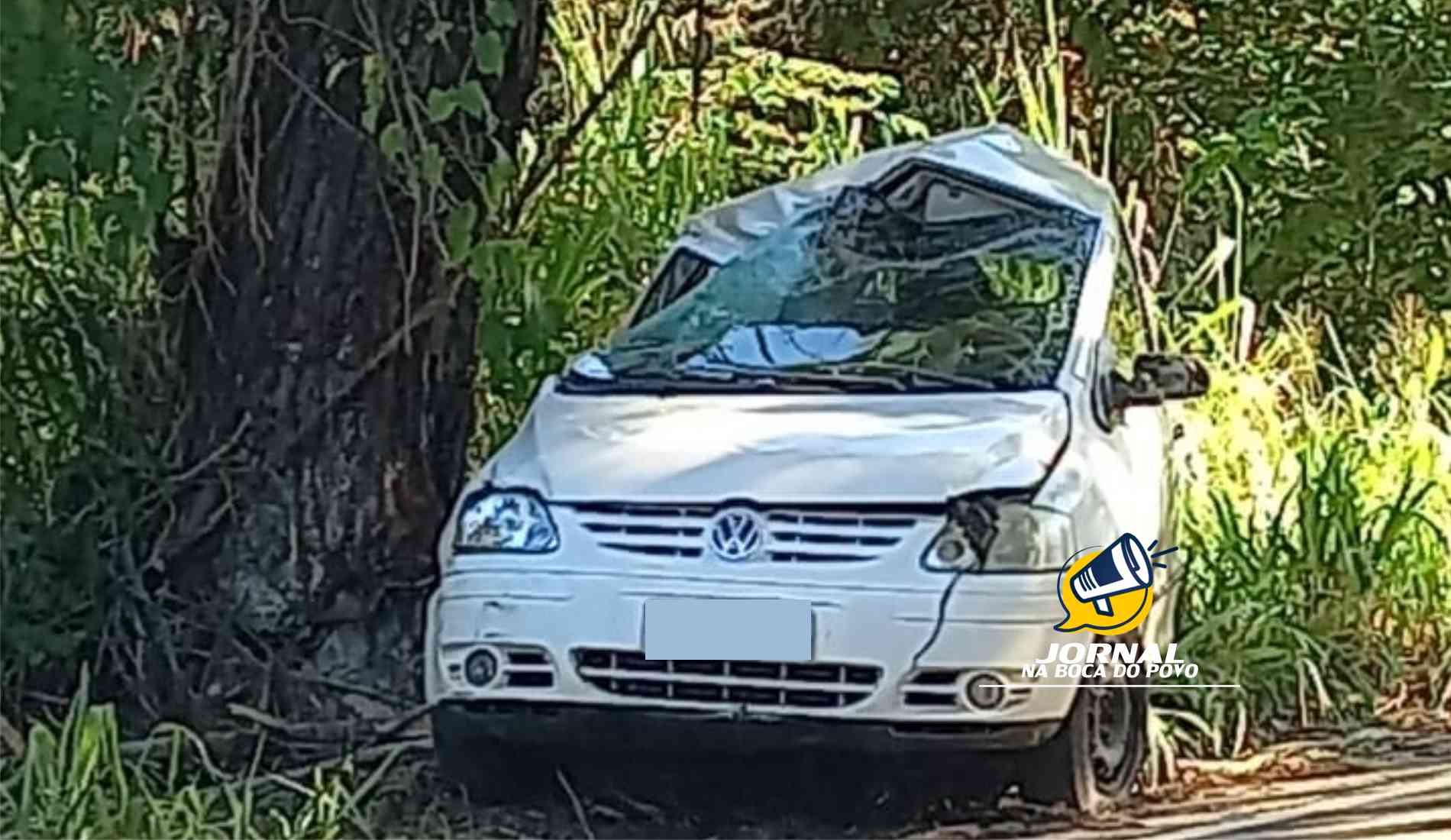 Jovem é socorrido após carro bater em árvore na RJ-116, entre Aperibé e Pádua