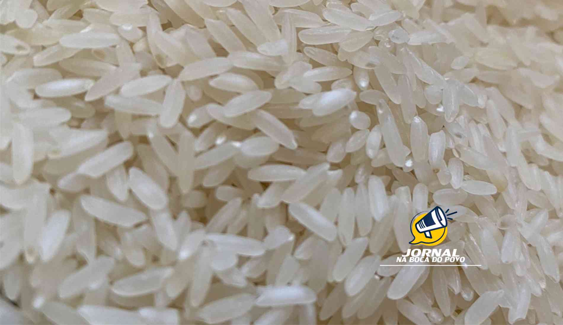 FEDERARROZ garante que não vai faltar arroz, mas produto sobe mais de 50%