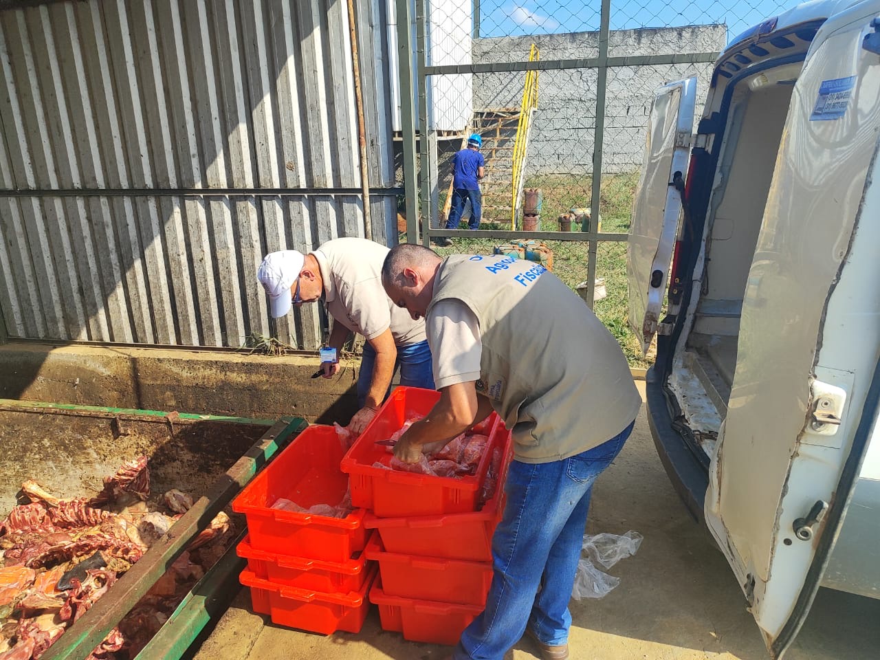 Pádua: Operação Foco e Defesa Agropecuária apreendem 150 quilos de filé de peixe transportados sem refrigeração