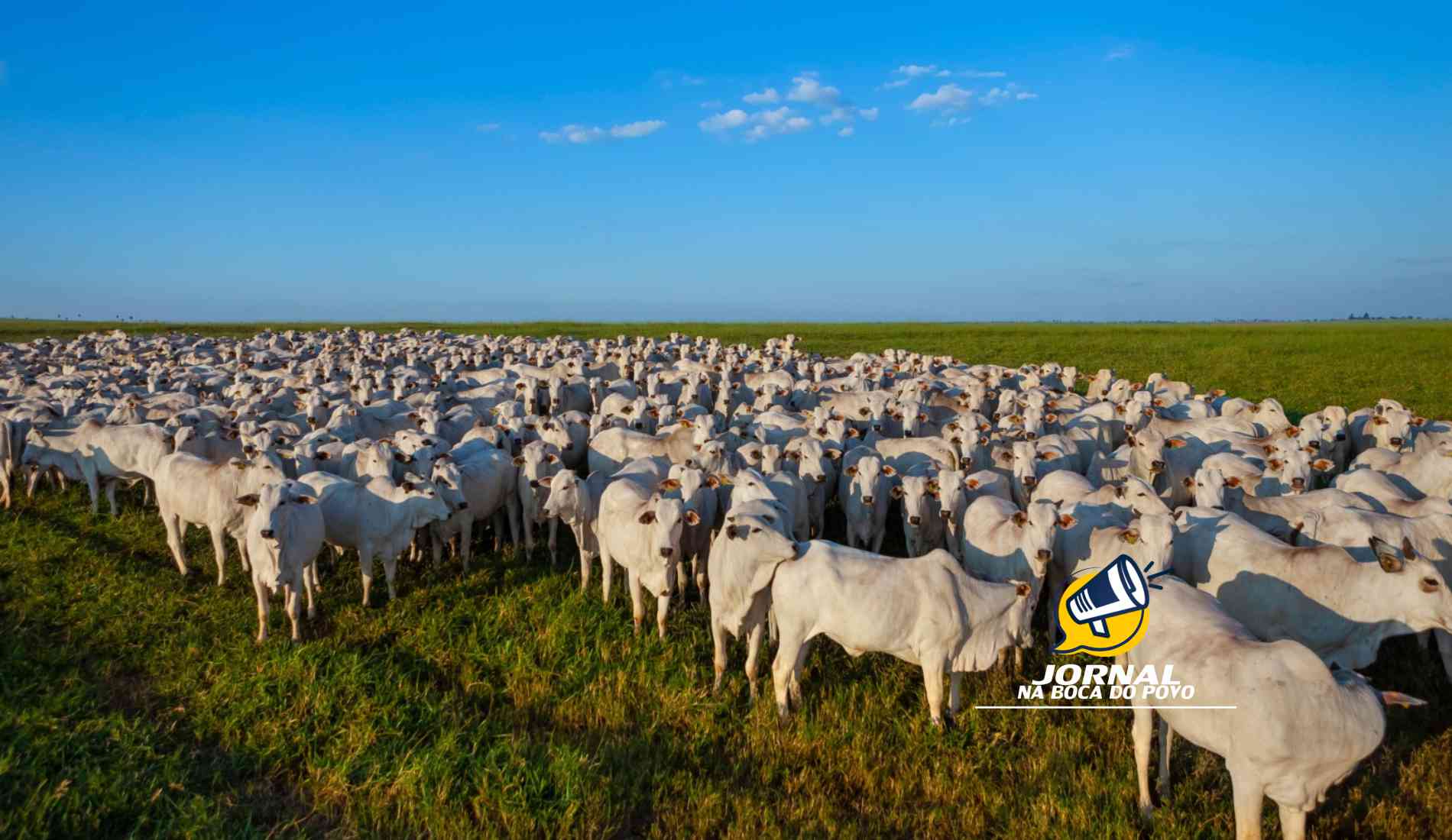 Secretaria de Estado de Agricultura do RJ reforça a campanha de atualização cadastral dos rebanhos