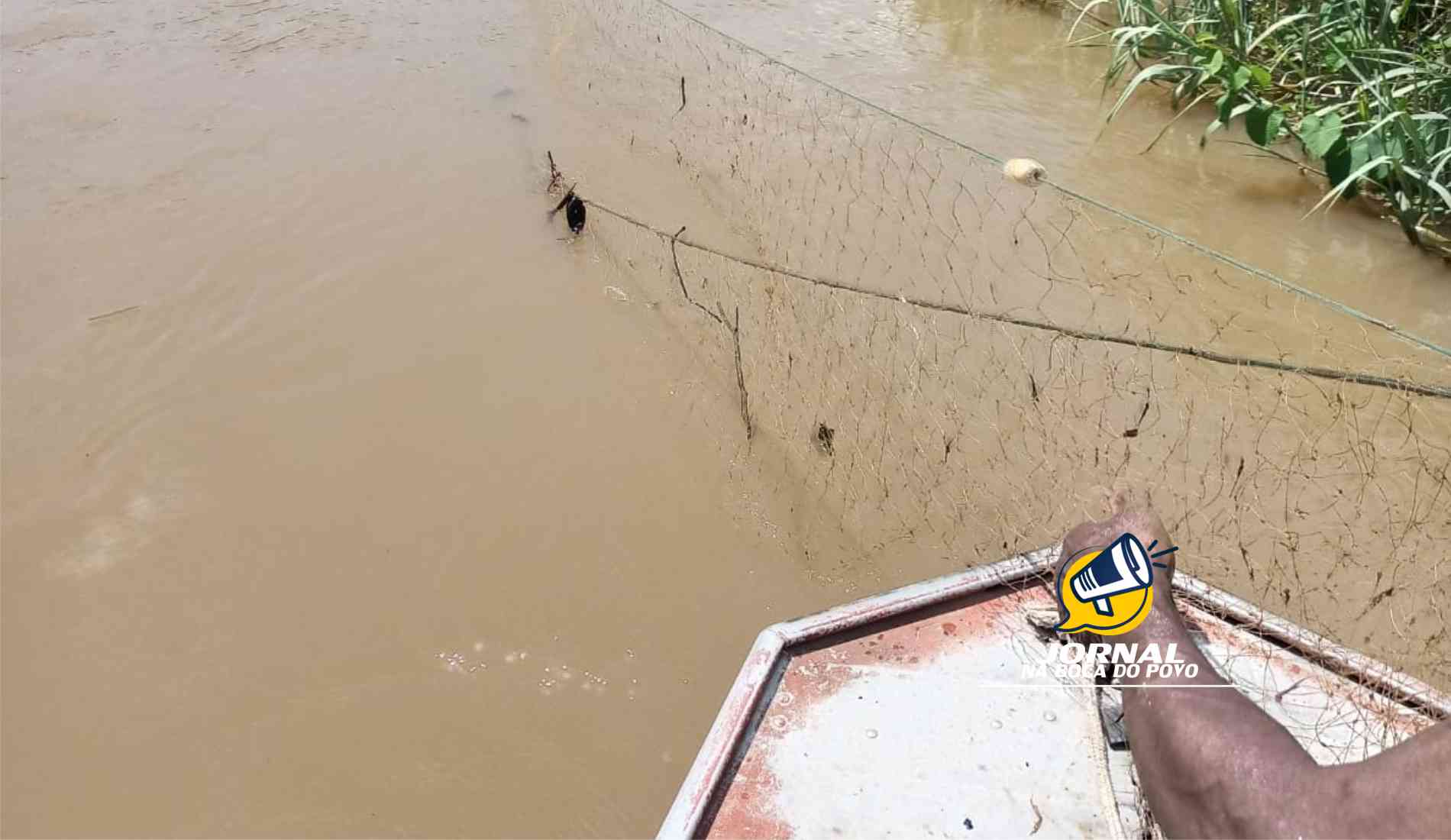 Período de proibição de pesca começa dia 1° de novembro