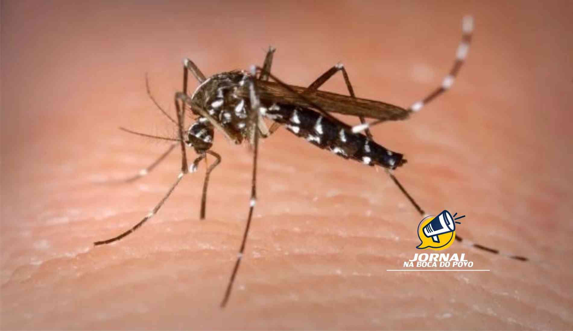 Secretaria de Estado de Saúde confirma primeiro caso de dengue tipo 3 no estado do Rio em 2025