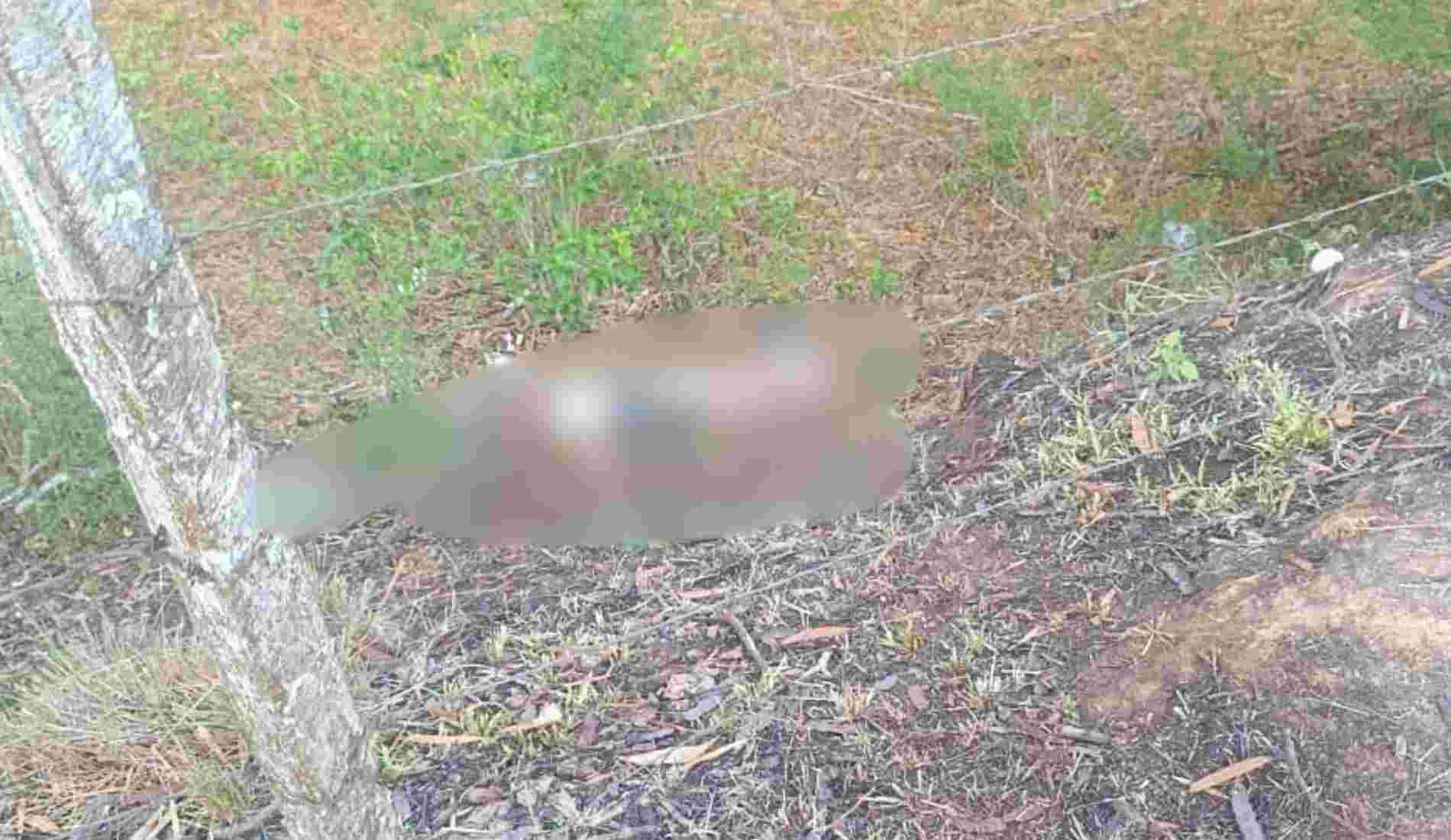 Homem é encontrado morto em Santo Antônio de Pádua