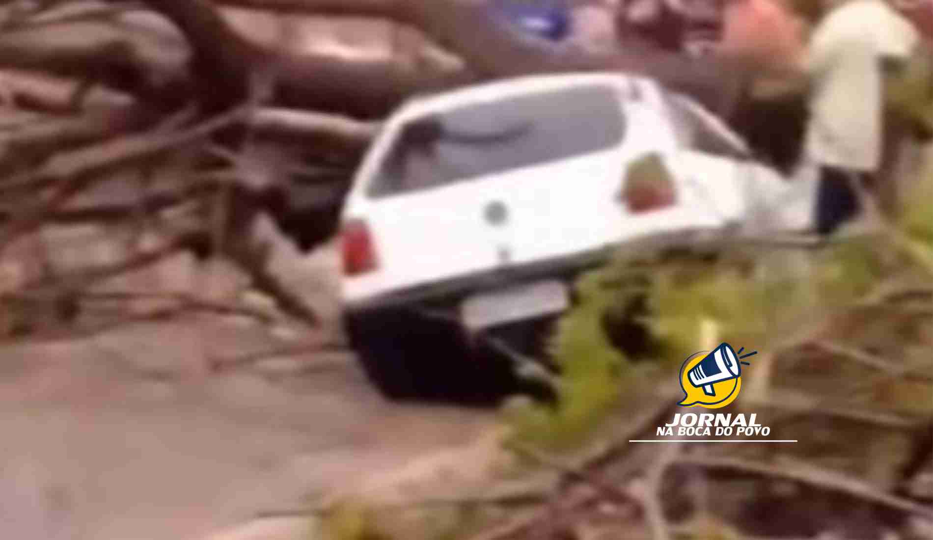 Árvore cai e atinge carro e muro de casa em São João do Paraíso, em Cambuci