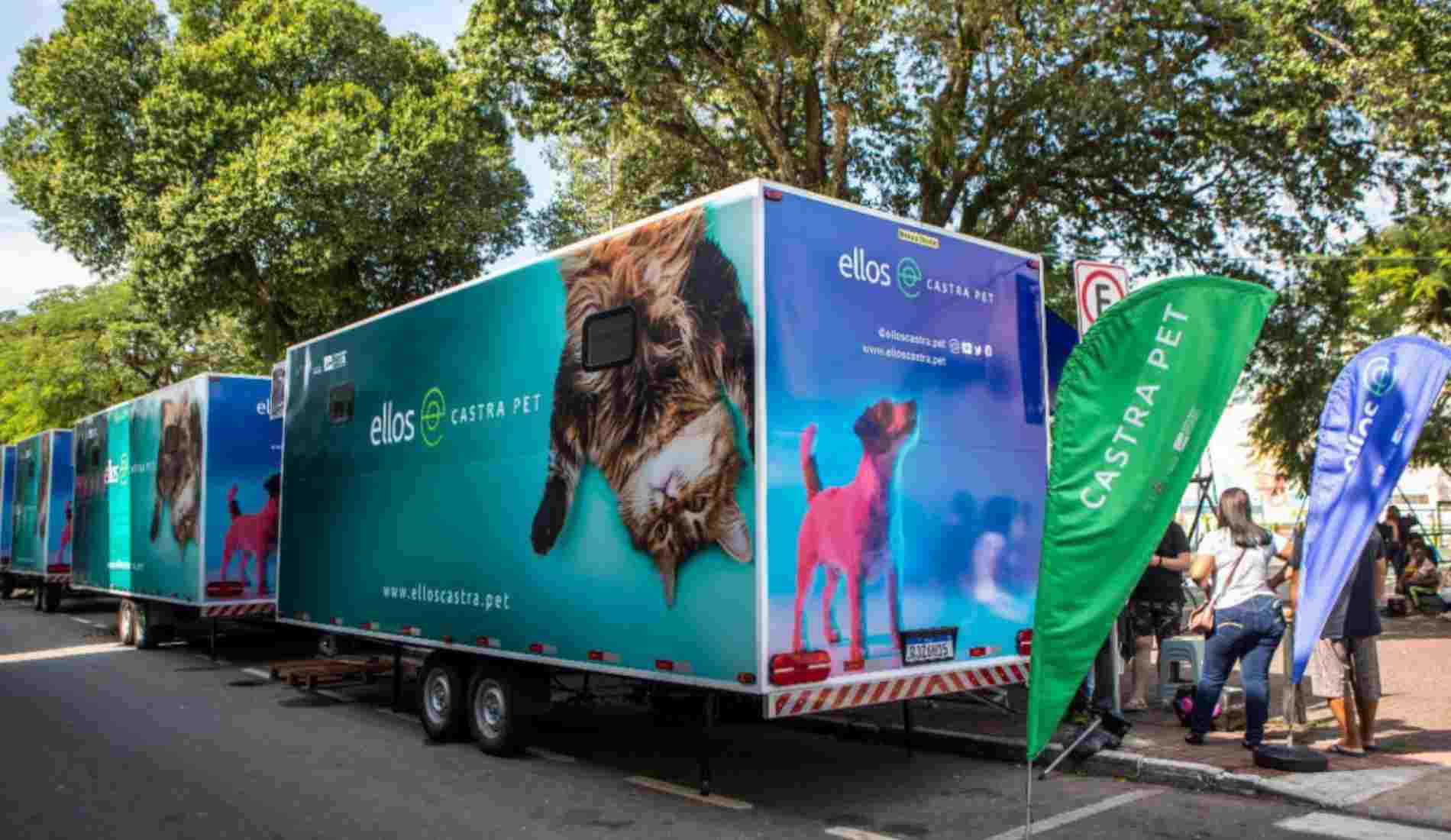 Projeto Ellos CastraPet realiza agendamento para castração gratuita de cães e gatos em Santo Antônio de Pádua